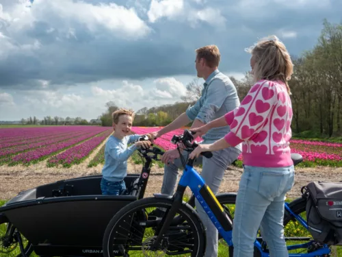 Bicycle rental Egmond