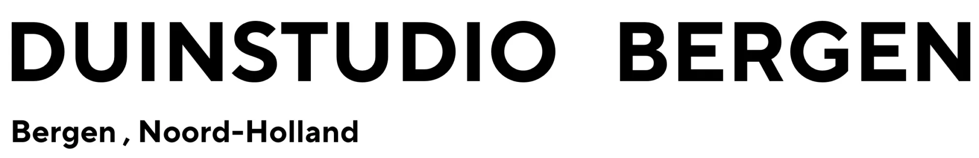 Duinstudio Bergen